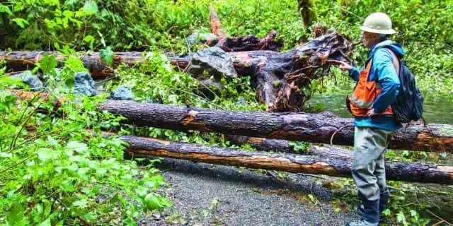 mchenry-e1574820543494