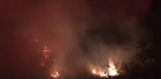 brushfire-e1532695786332