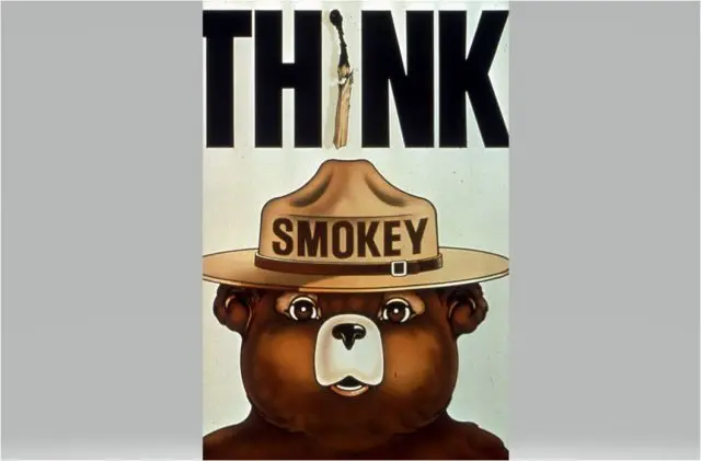 think-smokey-e1664312277547