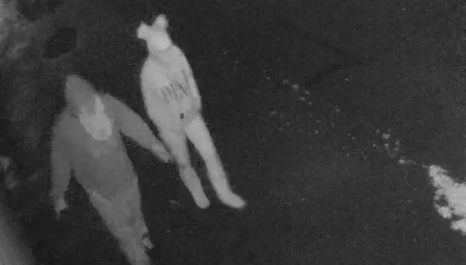 hf-theft-1-e1651092298733