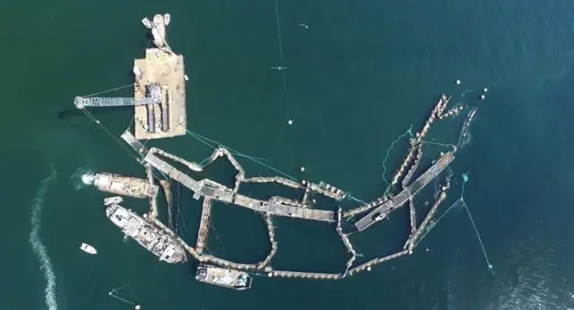 cooke-collapse-2017-e1574900914425