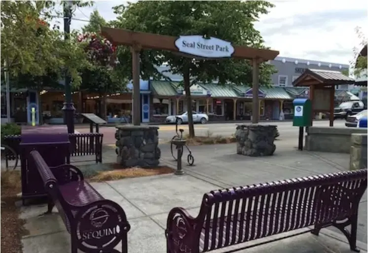 seal-st-park-e1724951926909