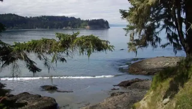 saltwater-park-e1588190970337