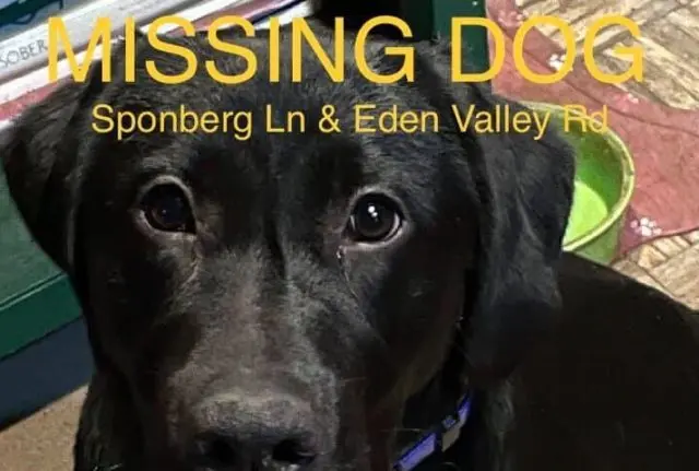 missing-lab-e1609282145276