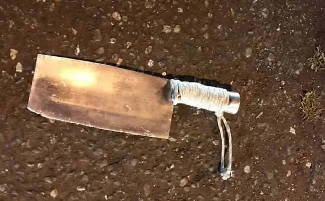 cleaver-2-e1577728048970