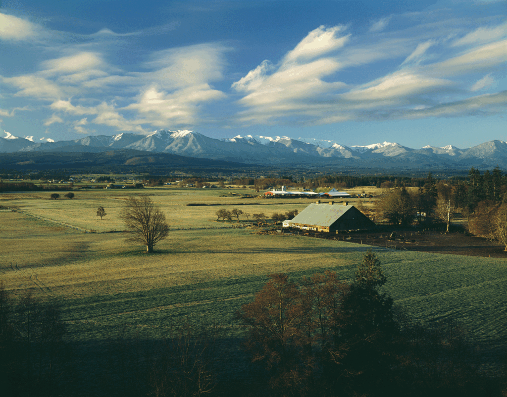 sequim-picture-2