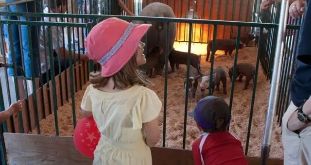 clallam-fair-e1648686511898