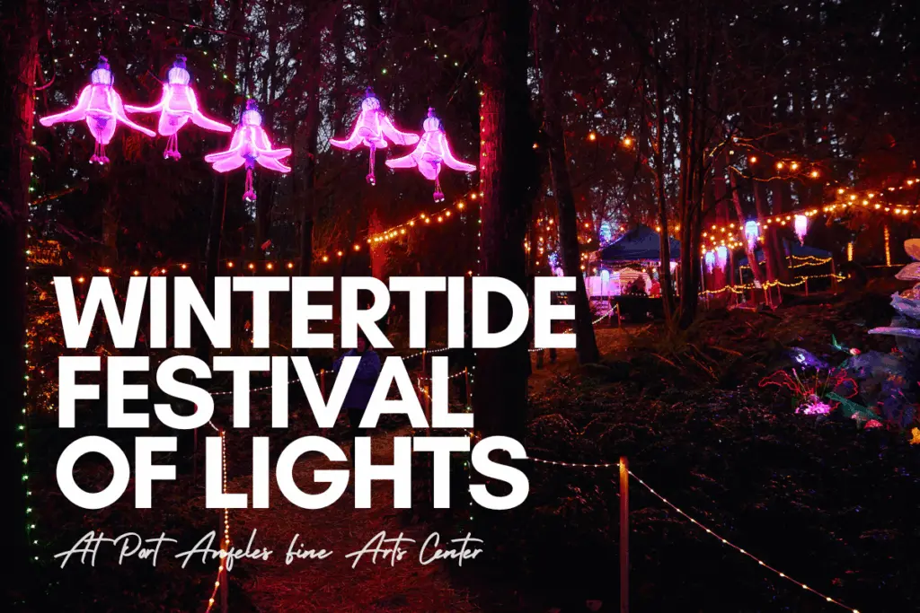 final_community_calendar_promo_neon_2025-22