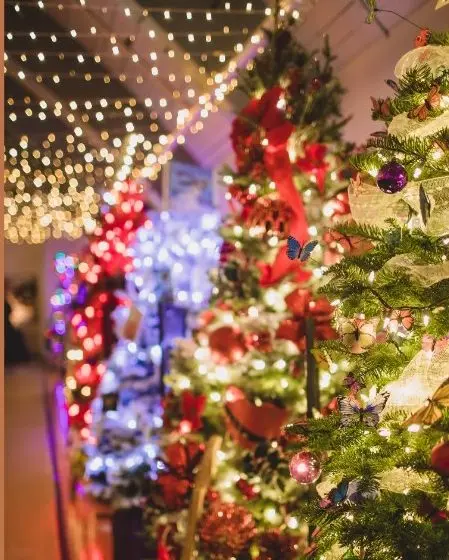 588584001_1299130565576281_5121040978472685201_n