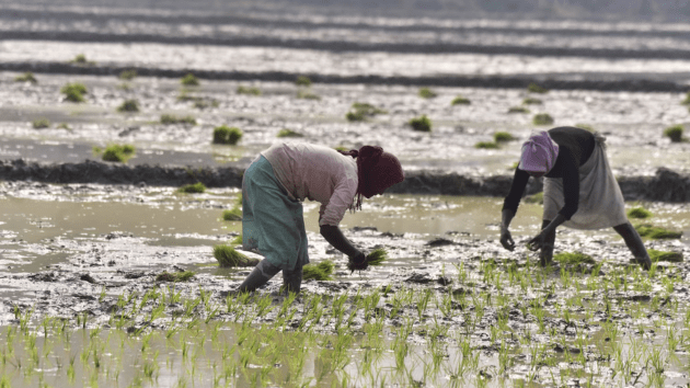 The planet has entered an era of ‘water bankruptcy,’ according to new UN report