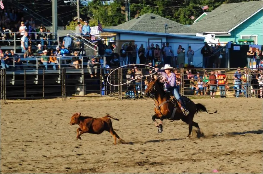county-rodeo-2