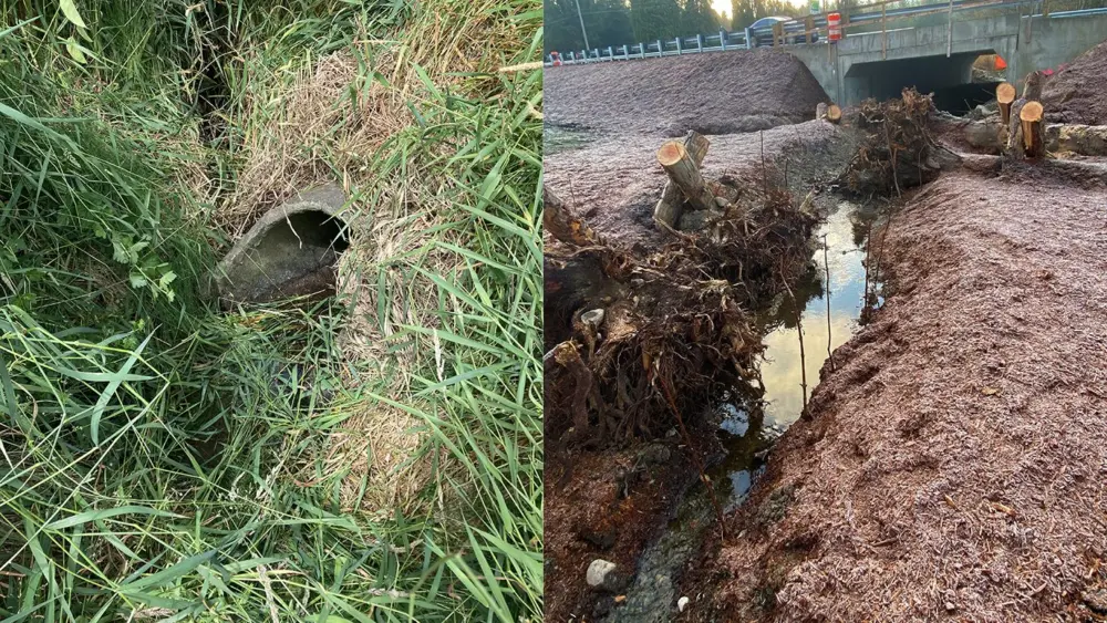 eagle-creek-before-after