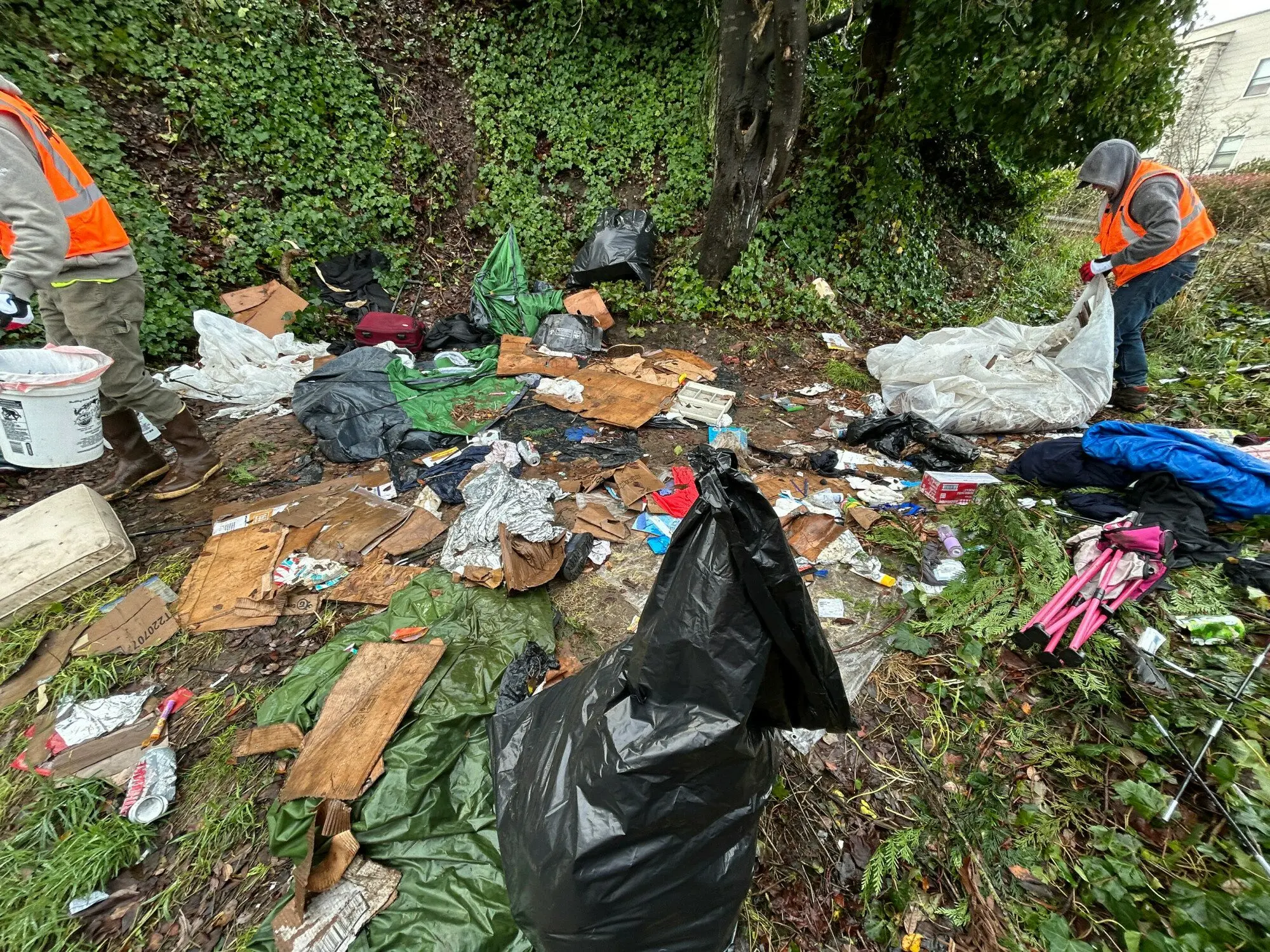 602343729_888761917009265_7853094967776724217_n