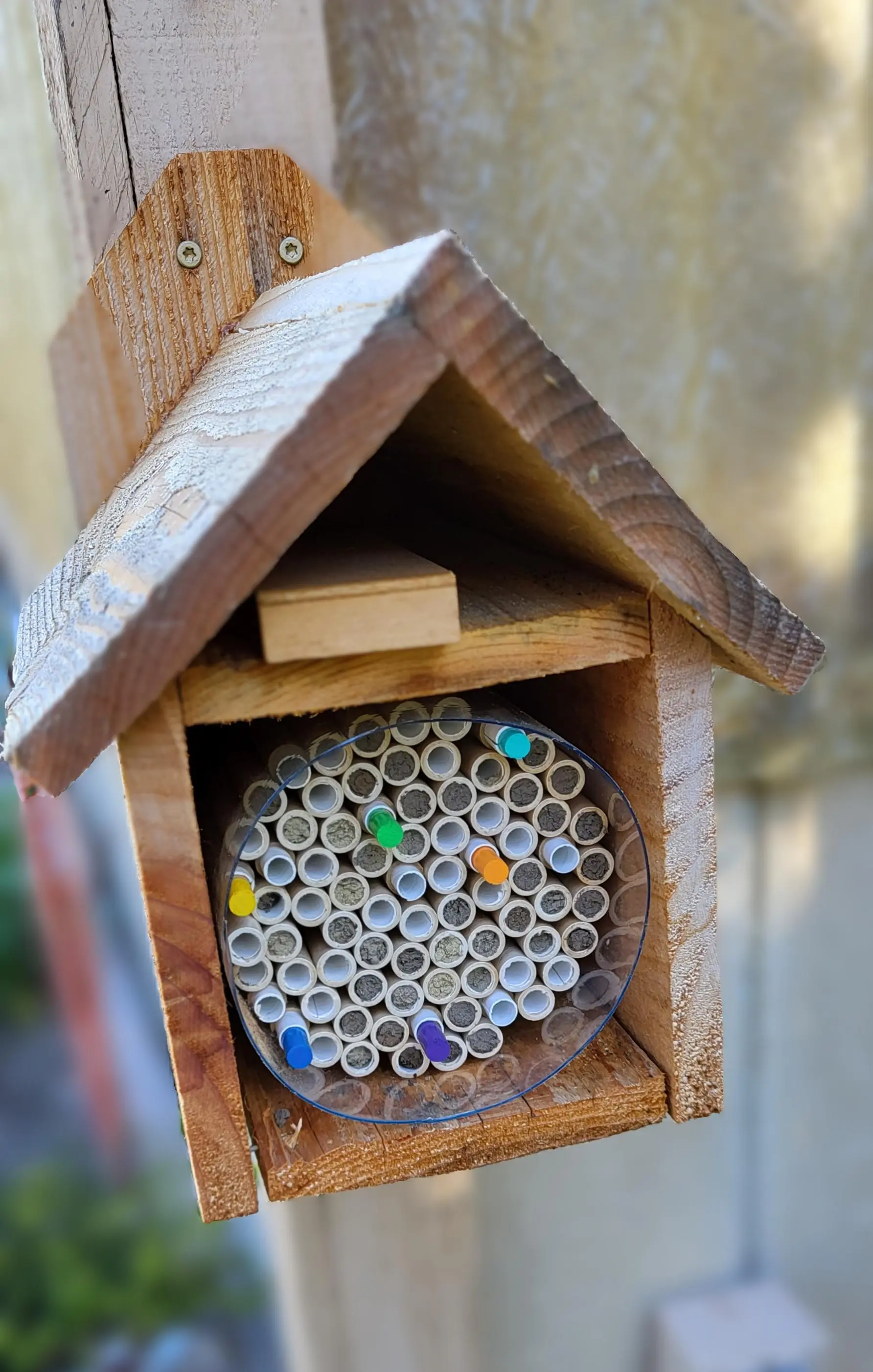 photo2_masonbeenestingchambers_-shellydeisch