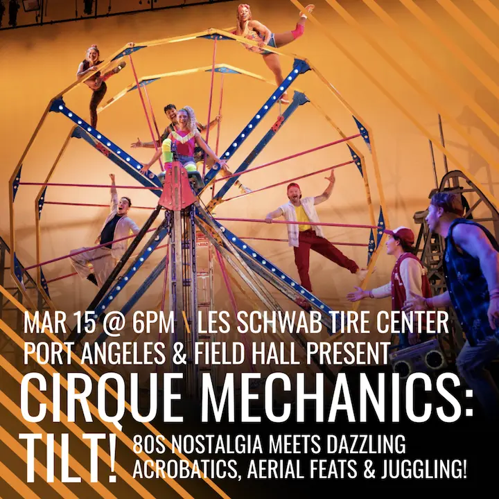 cirque-mechanics-tilt