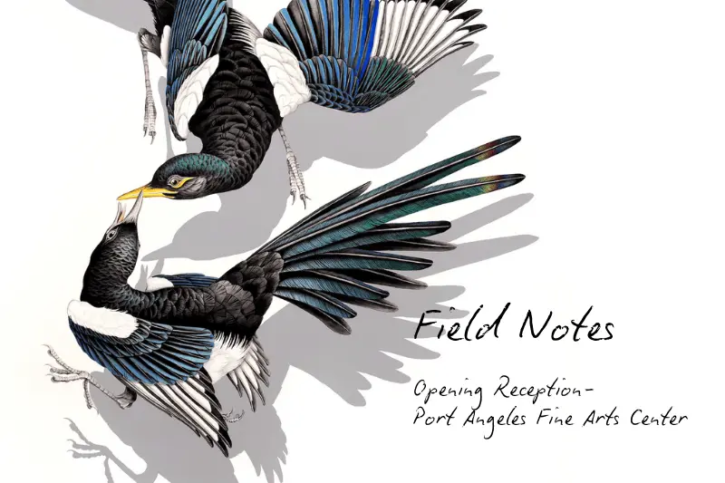 final_field-notes_opening_2026