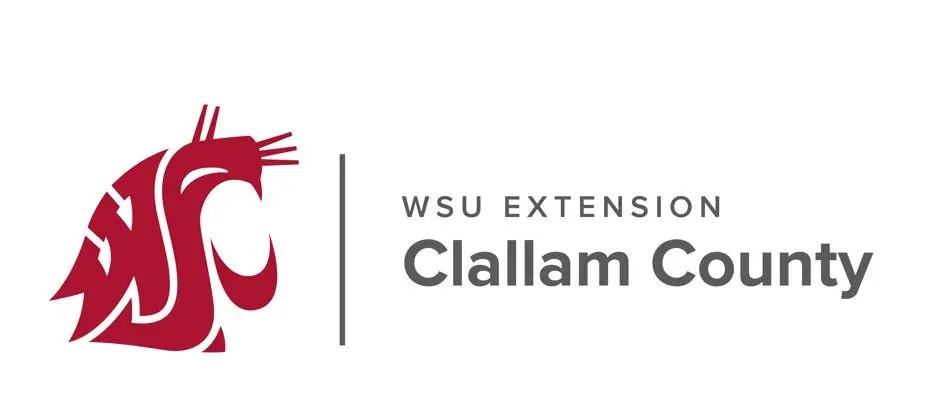 wsu-clallam-county
