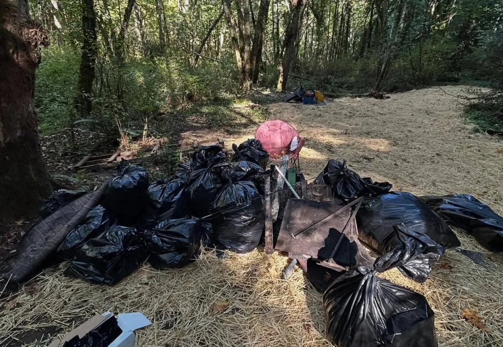 encampment-cleanup