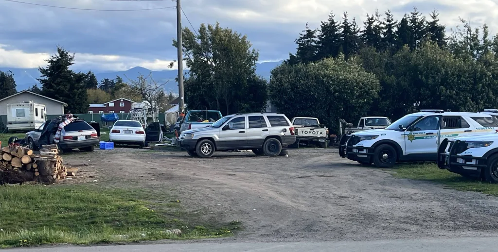 vehicles-and-patrol-cars