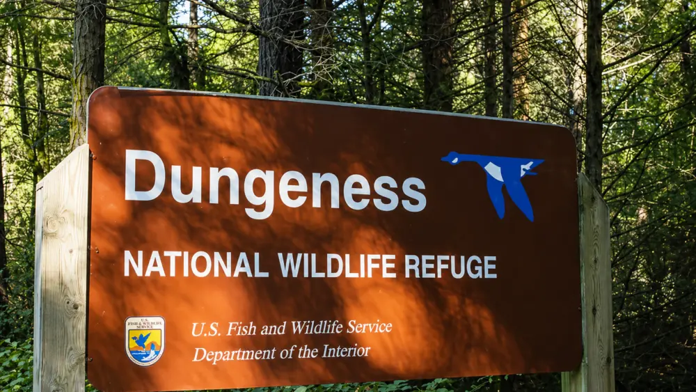 c1a3c847-5114-4d1f-8b77-36ef38df9edf