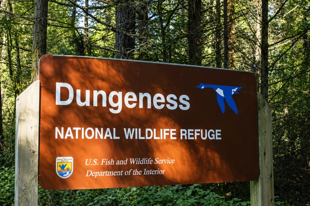 c1a3c847-5114-4d1f-8b77-36ef38df9edf