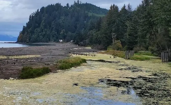 clallambaypark