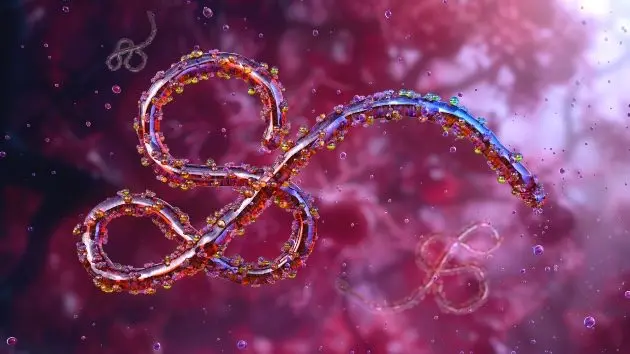 gettyrf_ebola_071626519499