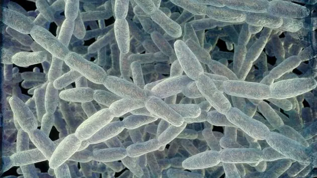 g_legionnaires_070926554583