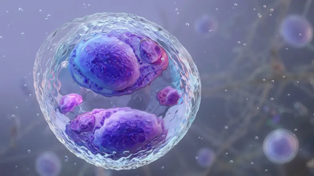 getty_cyclospora_080326785303