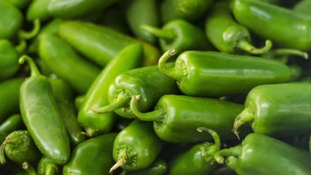 getty_jalapenos_080626784768