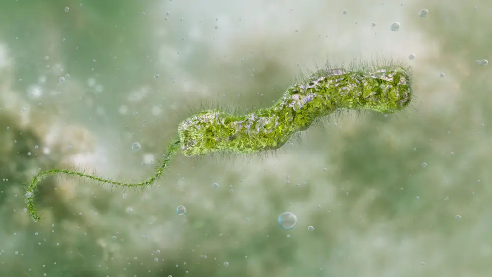 getty_flesheatingbacteria_080726667064