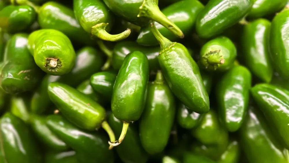 getty_jalapenos_081026259497