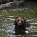 untitled20design2028929375652-150x150211328-1