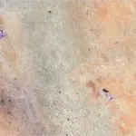 n_sudanclusters_103125576644-150x150360405-1496167