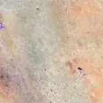 n_sudanclusters_103125576644-150x150395419-1