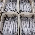 g_seafood_111925877801-150x150564094-1