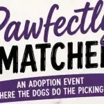 Pawfectly Matched