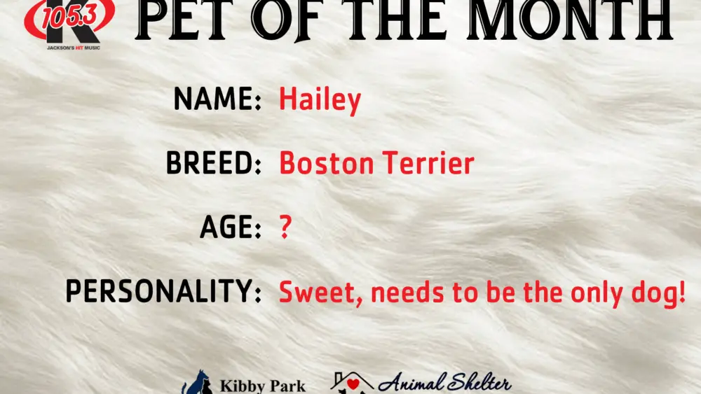 pet-of-the-month-title-card-january
