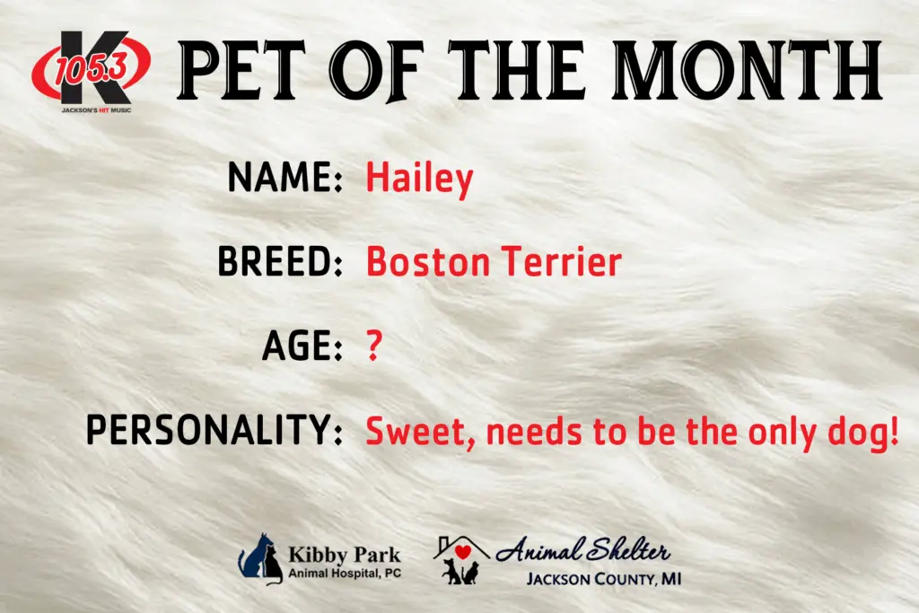 pet-of-the-month-title-card-january