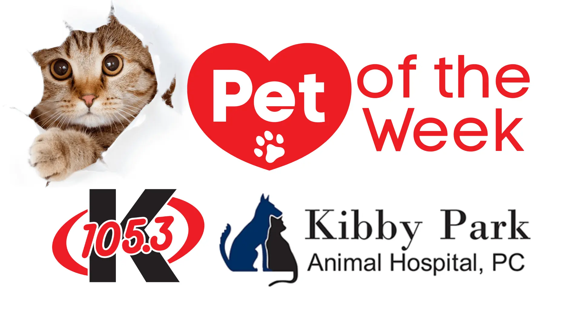 pet-of-the-week