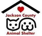 jackson-shelter