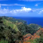 castara20getty194268-150x150408249-1