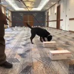 untitled20design20281329735075-150x150785970-1