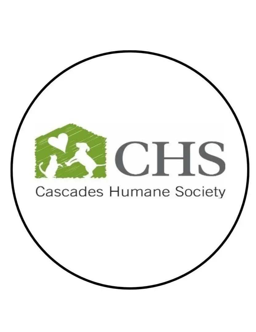 chs logo