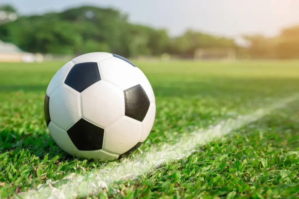 soccer-ball