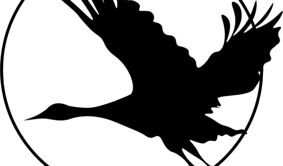 sandhill-crane