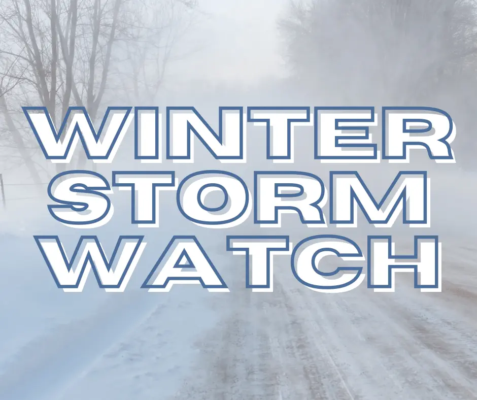 b51d0e70-b991-41f3-b18b-4c089148a64f