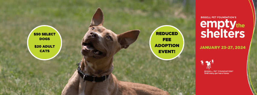 Empty the Shelter Event with Bissell at Cascades Humane Society | NewsTalk