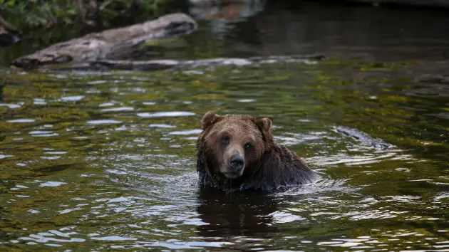 untitled20design2028929375652