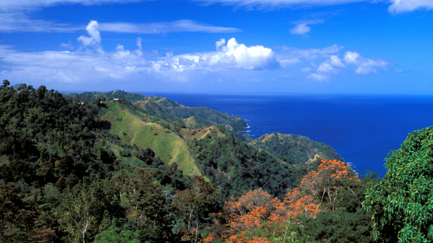 Police investigate after American man found fatally stabbed in Tobago